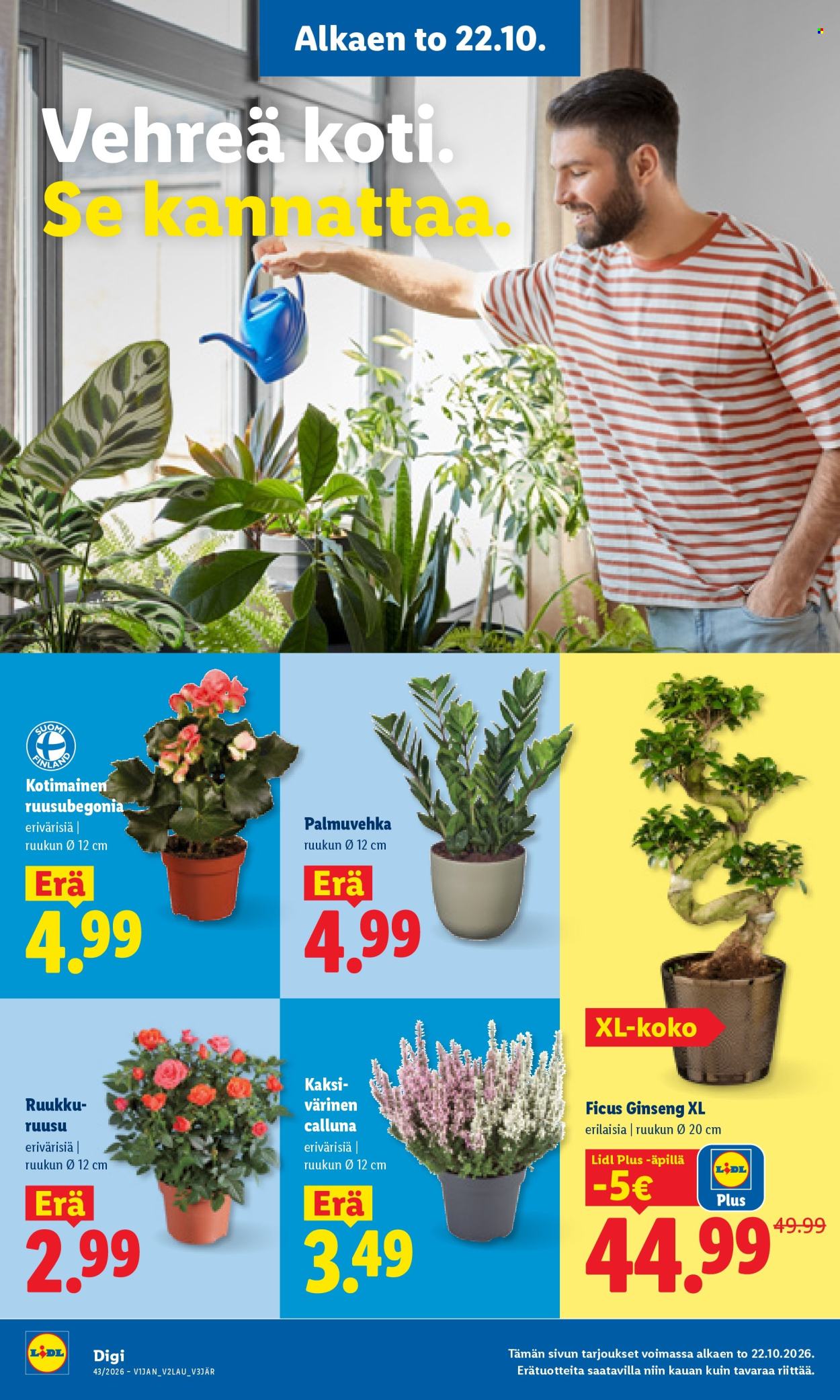 Lidl tarjoukset - 22.10.2026 - 25.10.2026. Sivu 19