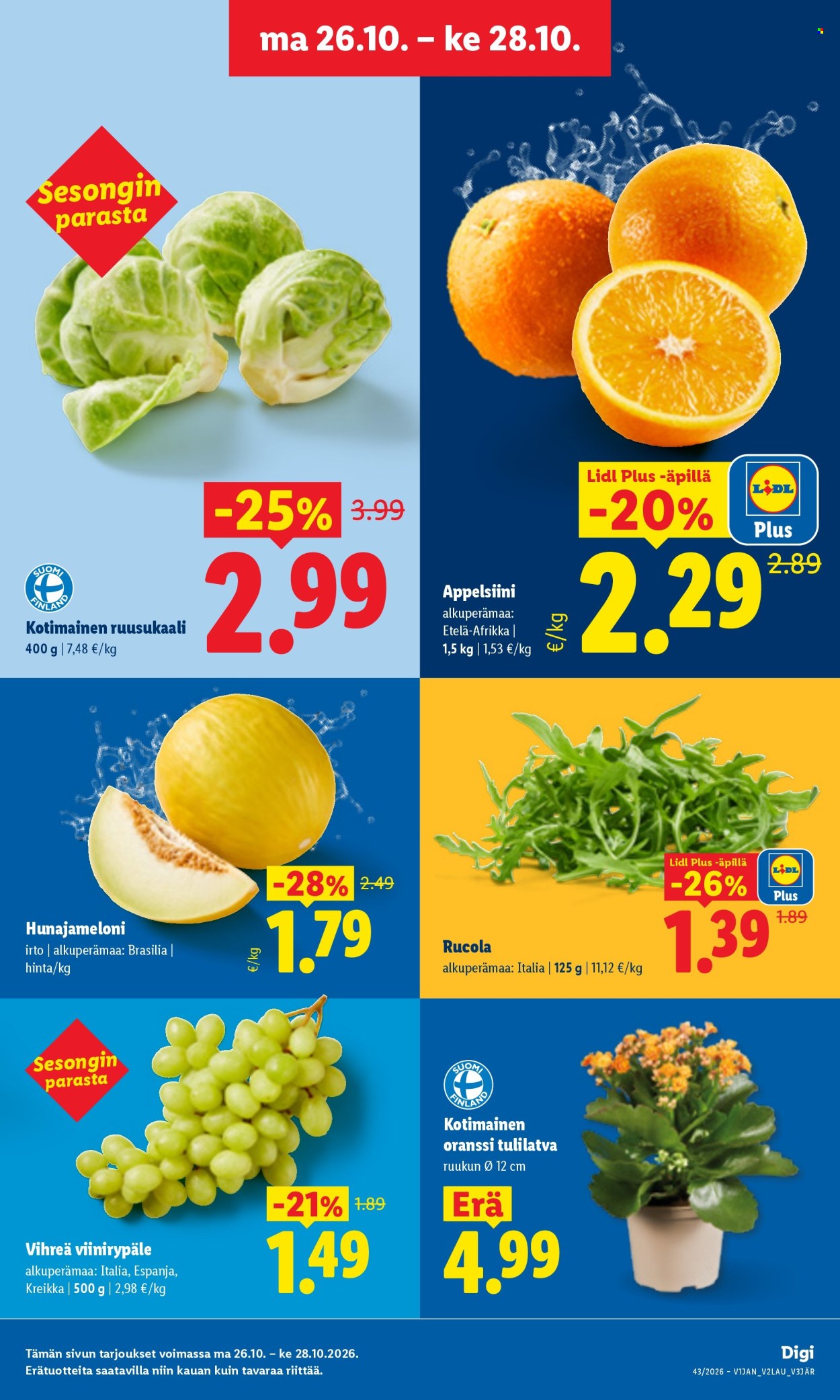 Lidl tarjoukset - 26.10.2026 - 28.10.2026. Sivu 3