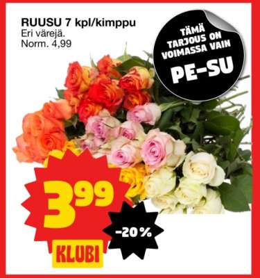 RUUSU 7 kpl/kimppu