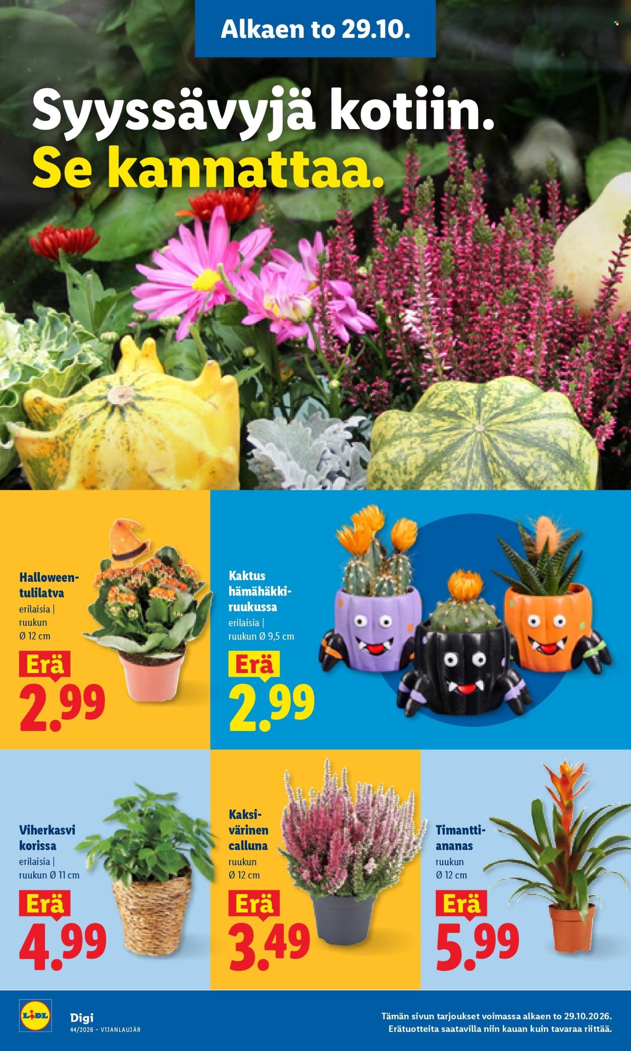 Lidl tarjoukset - 29.10.2026 - 01.11.2026. Sivu 23